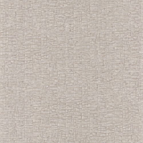 papel parede caiman - Image 7