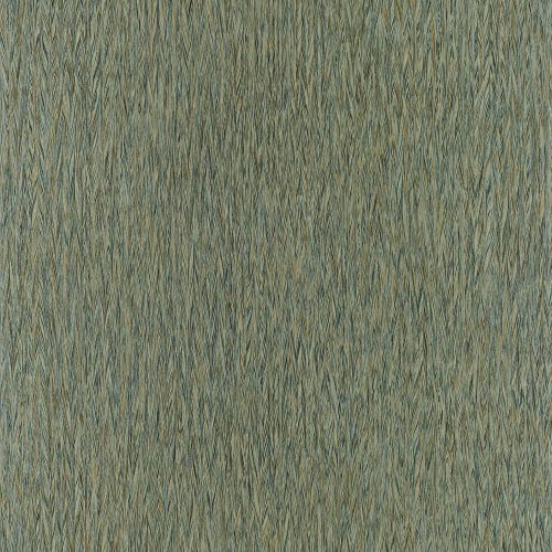 papel parede poyo - Image 6