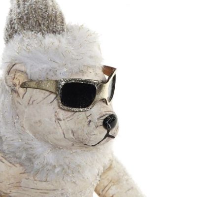 Urso de ski