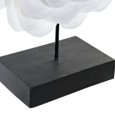 colar CONCHAS - Image 3