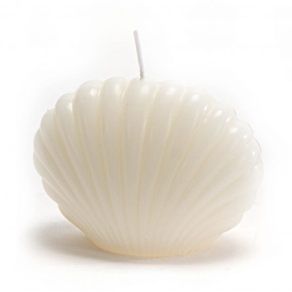 VELAS COQUILLAGE