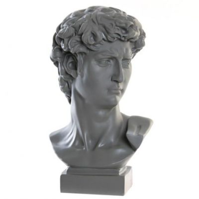busto david - Image 4