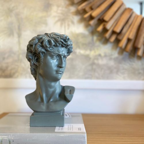 busto david