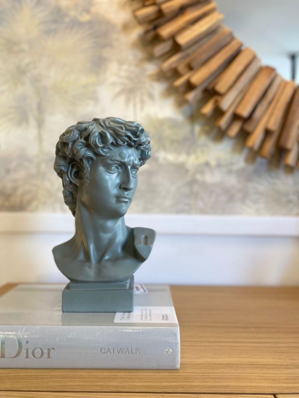 busto david