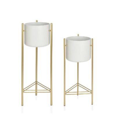 floreira white gold