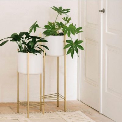 floreira white gold
