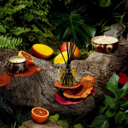 Goji Tarocco Orange Reed Diffuser - Voluspa - Image 4