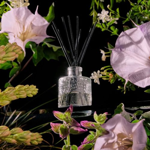 Jasmine Midnight Blooms - REEF DIFFUSER - Image 4
