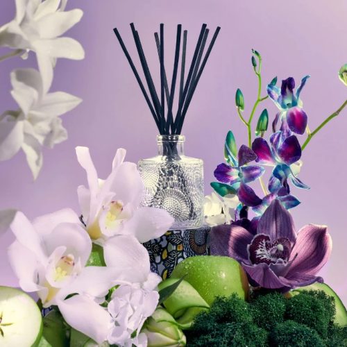 APPLE BLUE CLOVER - REEF DIFFUSER - Image 4