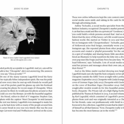 Livro Karl Lagerfeld - A Life In Fashion - Image 5