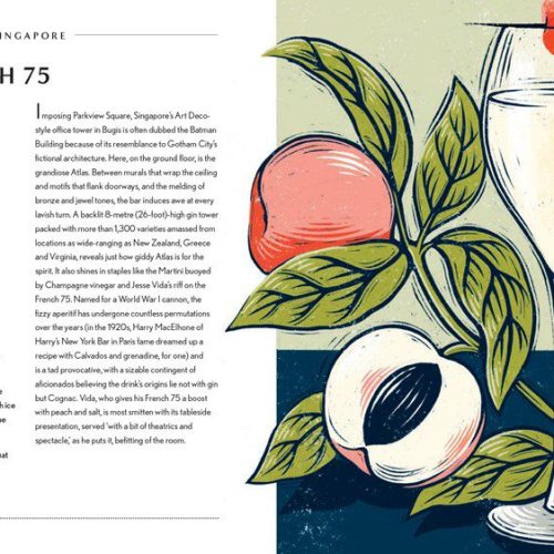 Livro Behind the bar: Gin
