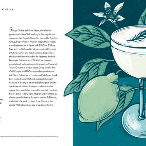 Livro Behind the bar: Gin - Image 5