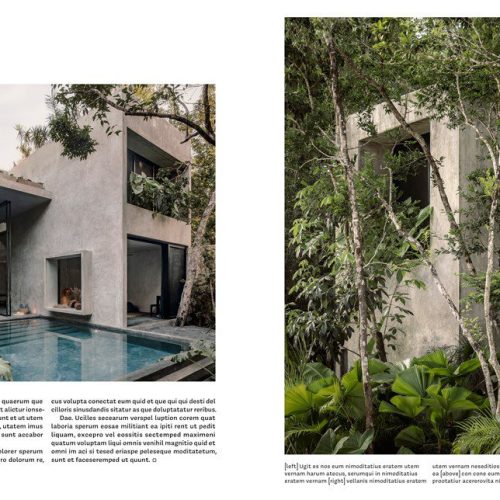Livro Concrete Jungle - Image 4
