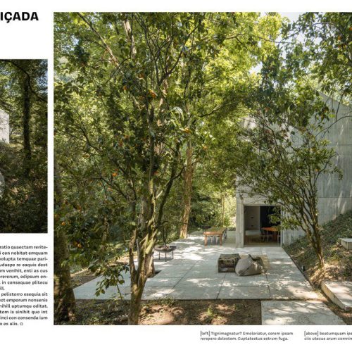 Livro Concrete Jungle - Image 6