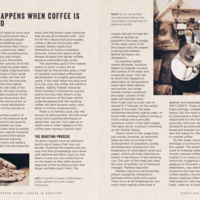 Livro Barista´s Guide to Coffee - Image 4