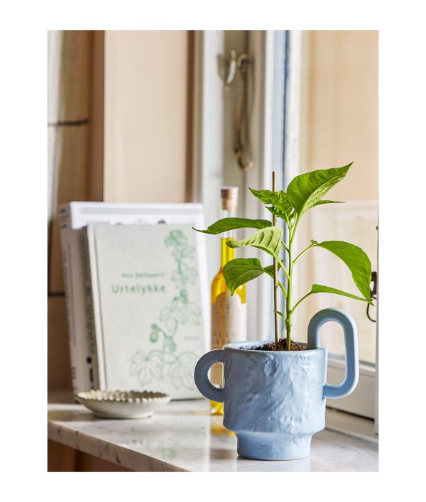 Alfine Flowerpot blue