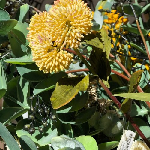Sedum amarelo com folha artificial