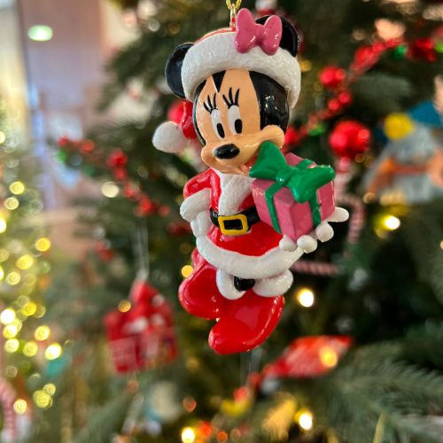 minnie presente