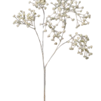 flor gypsophila bege