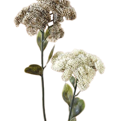FLOR SEDUM CREME MIX 46 cm