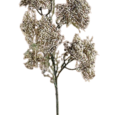 FLOR SEDUM CREME 56cm
