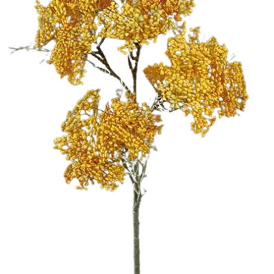 FLOR SEDUM MOSTARDA