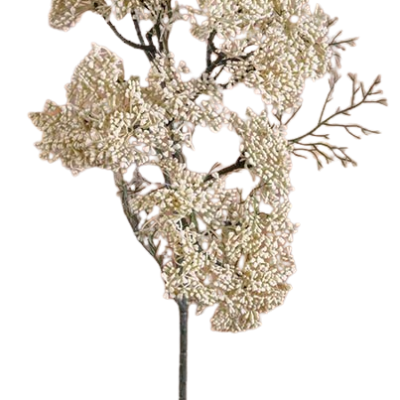 FLOR SEDUM BEGE