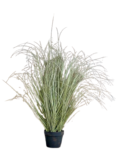 VASO GRAMÍNEA FESTUCA 122 cm