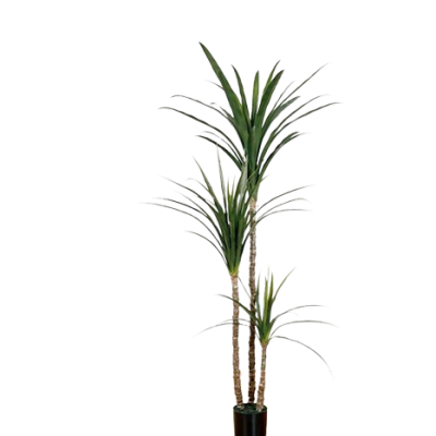 VASO YUCCA 152 cm