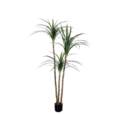 VASO YUCCA 182 cm