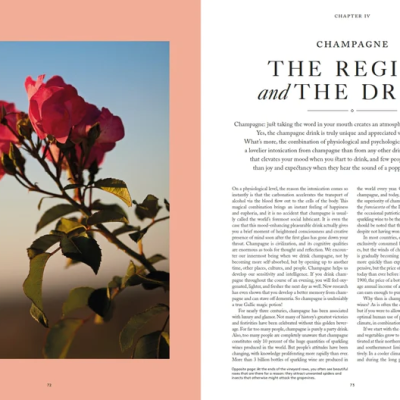 Livro Champagne Magnum Opus - Image 6