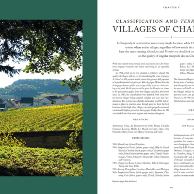 Livro Champagne Magnum Opus - Image 7