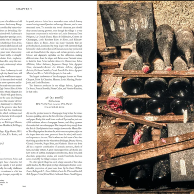 Livro Champagne Magnum Opus - Image 8