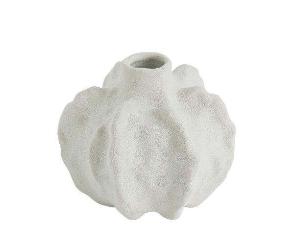 Jarra Coral