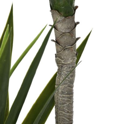 VASO PÉ VERDE - Image 3