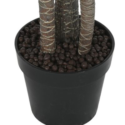 VASO PÉ VERDE - Image 4