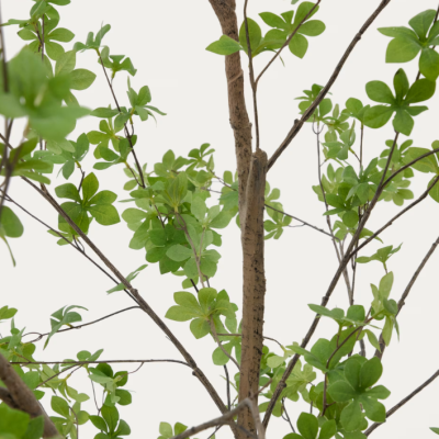 Árvore artificial Enkianthus