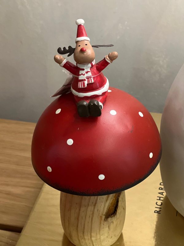 Champi de Noel Rouge