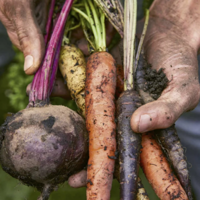 The Veg Box - Image 3