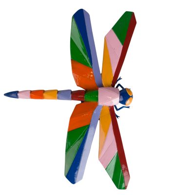 Libelinha colorida