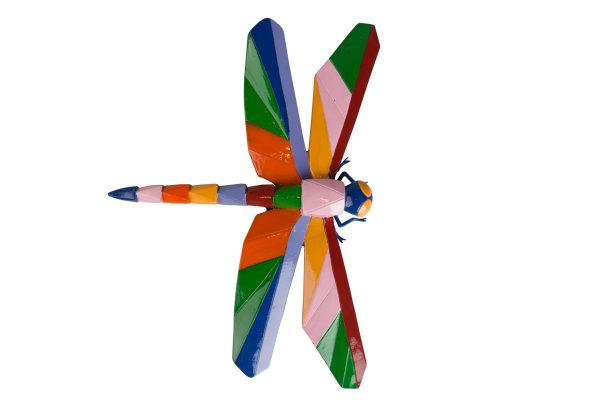 Libelinha colorida
