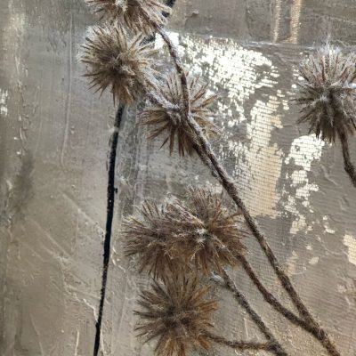 flor allium marron - Image 3